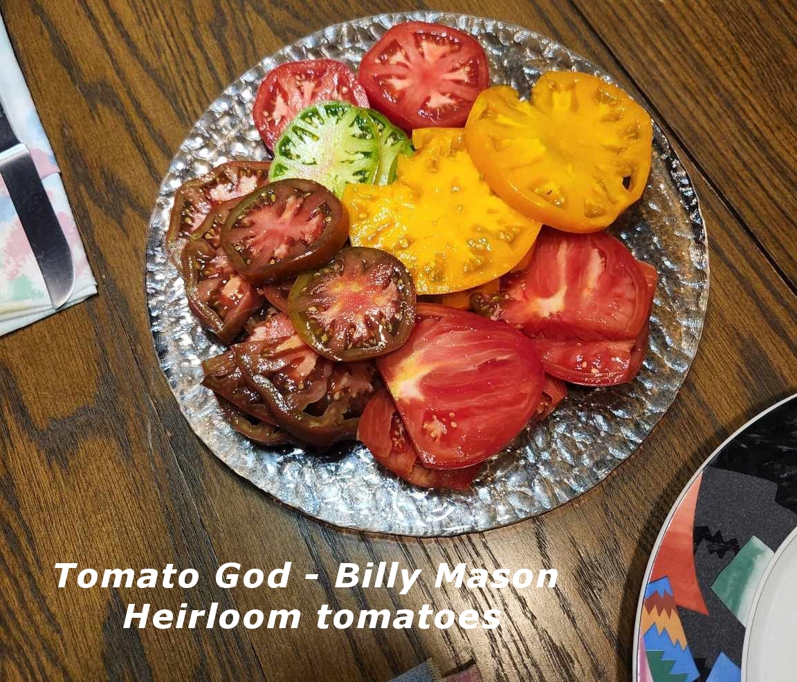 heirloom tomatoes for sale Pittsboro NC 